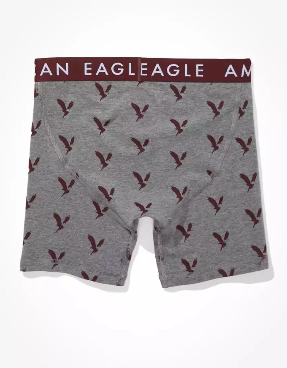 Slips American Eagle AEO Eagles 6